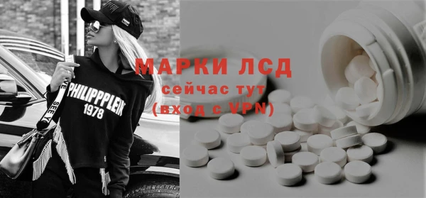 хмурый Алзамай