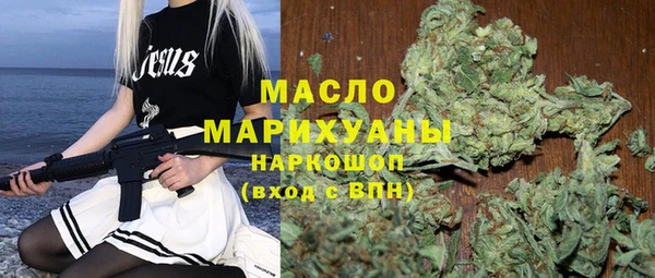 хмурый Алзамай