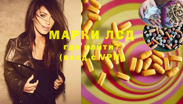 хмурый Алзамай
