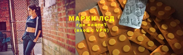 хмурый Алзамай