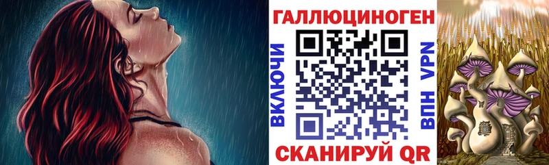 Галлюциногенные грибы мицелий  сколько стоит  Бикин 